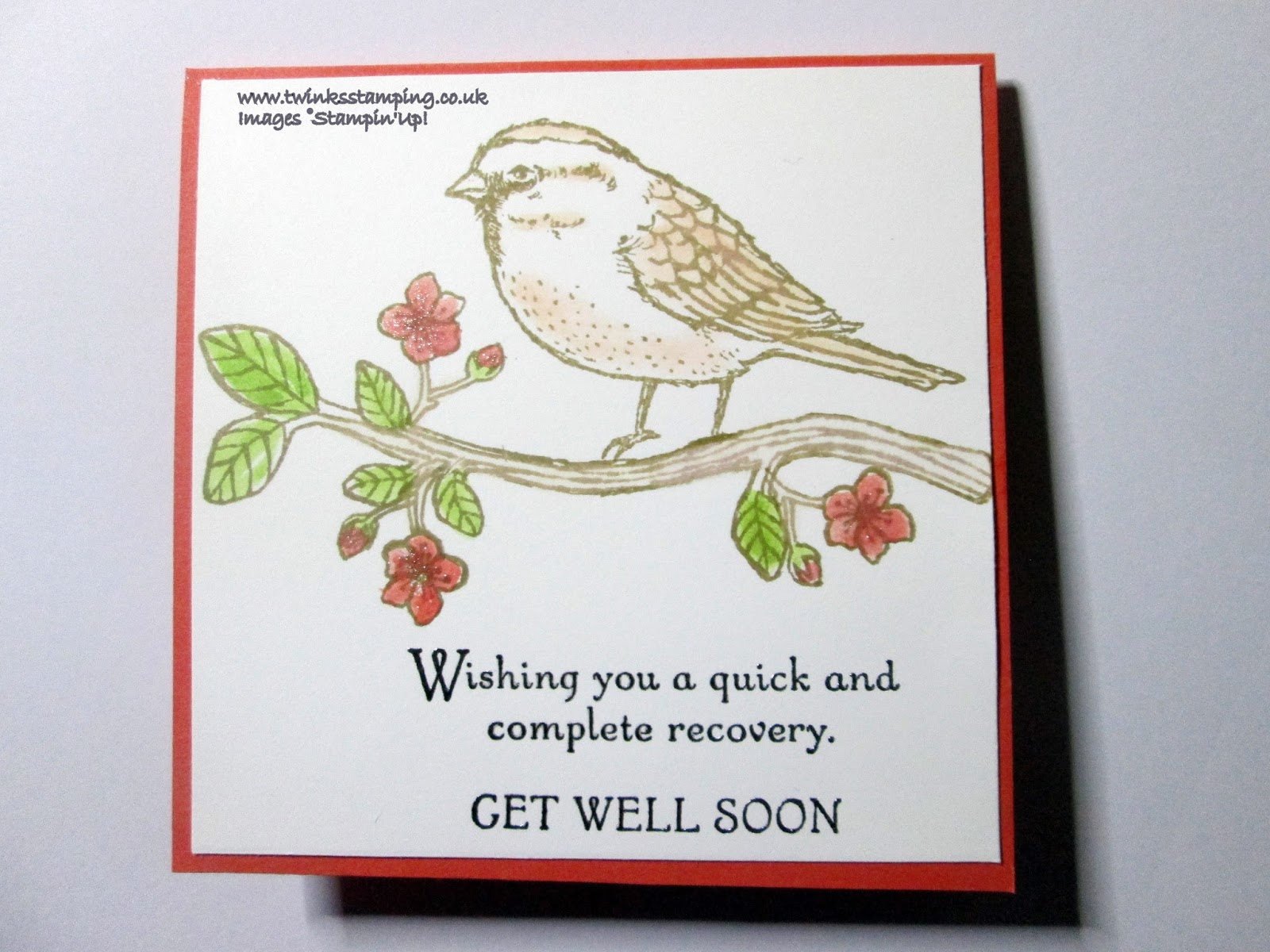 Get Well Soon using Best Birds