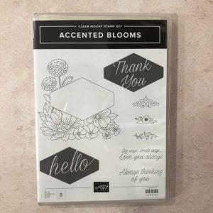 Accented Blooms Retired Stamp Set